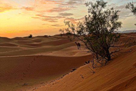 5 Day Desert Explorer – Merzouga and Beyond