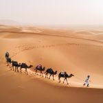 5 Day Desert Tour from Marrakech