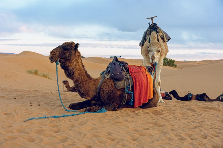 ItranTravel_AndreaTerzuoli (113)