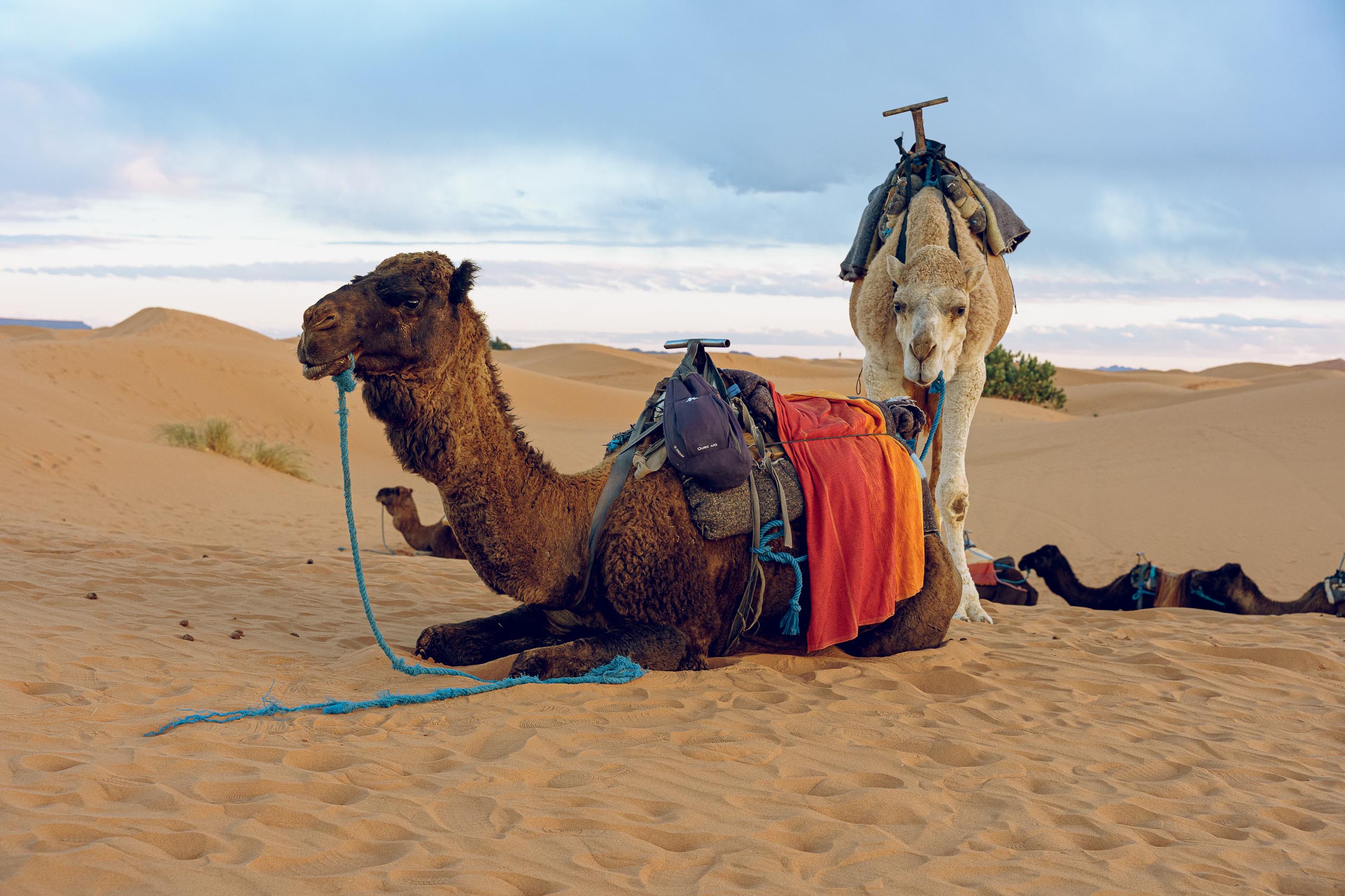 ItranTravel_AndreaTerzuoli (113)